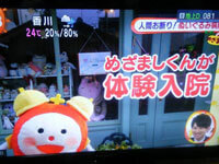 めざましテレビ