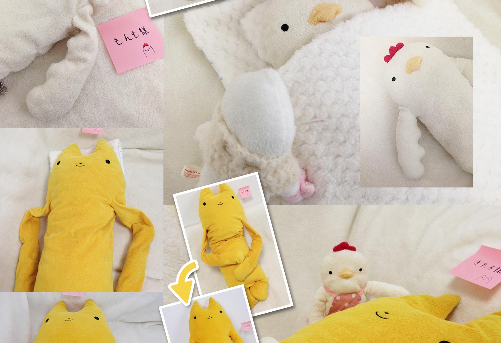 患者さまのようす　ビフォー・アフター