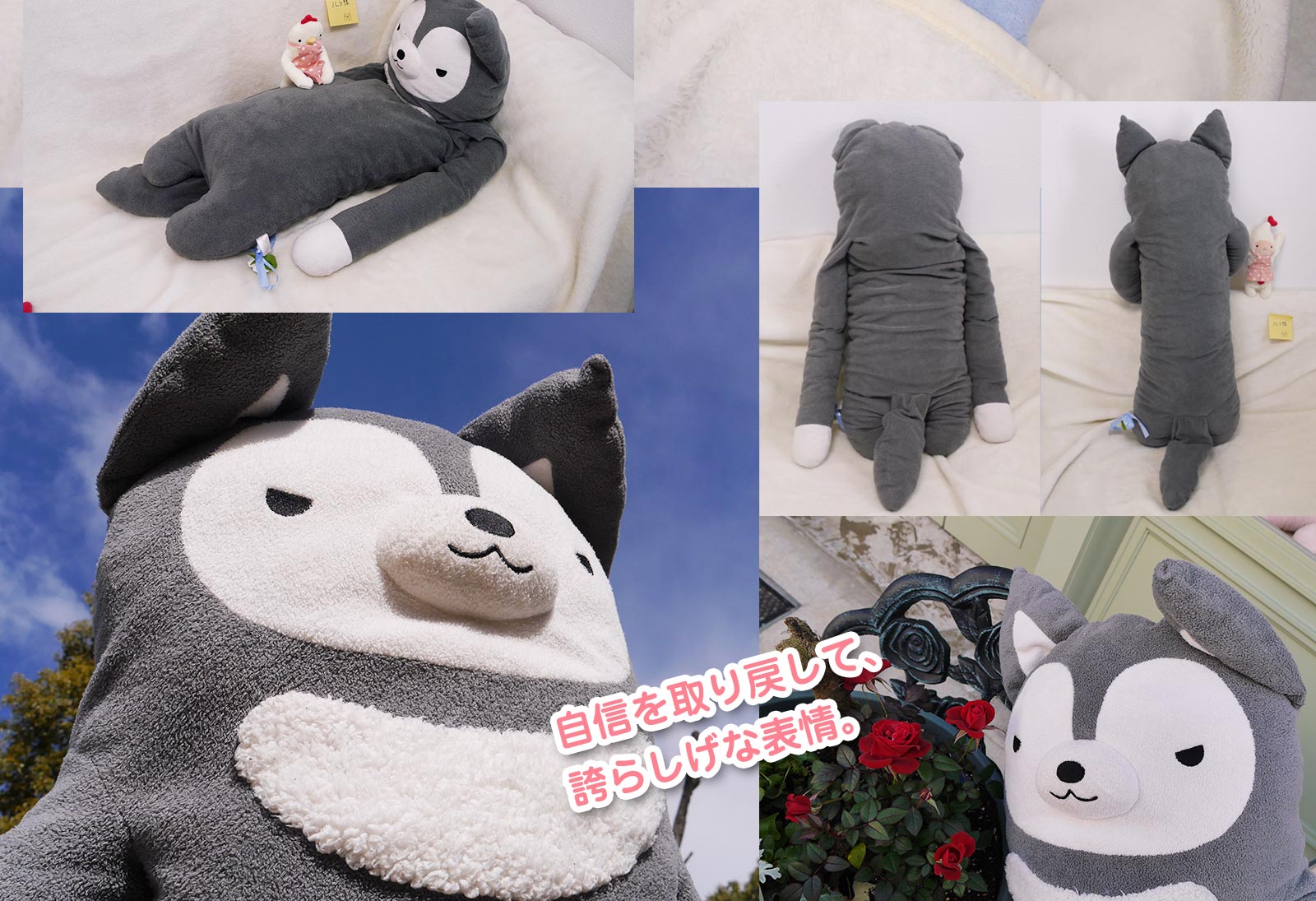 患者さまのようす　ビフォー・アフター