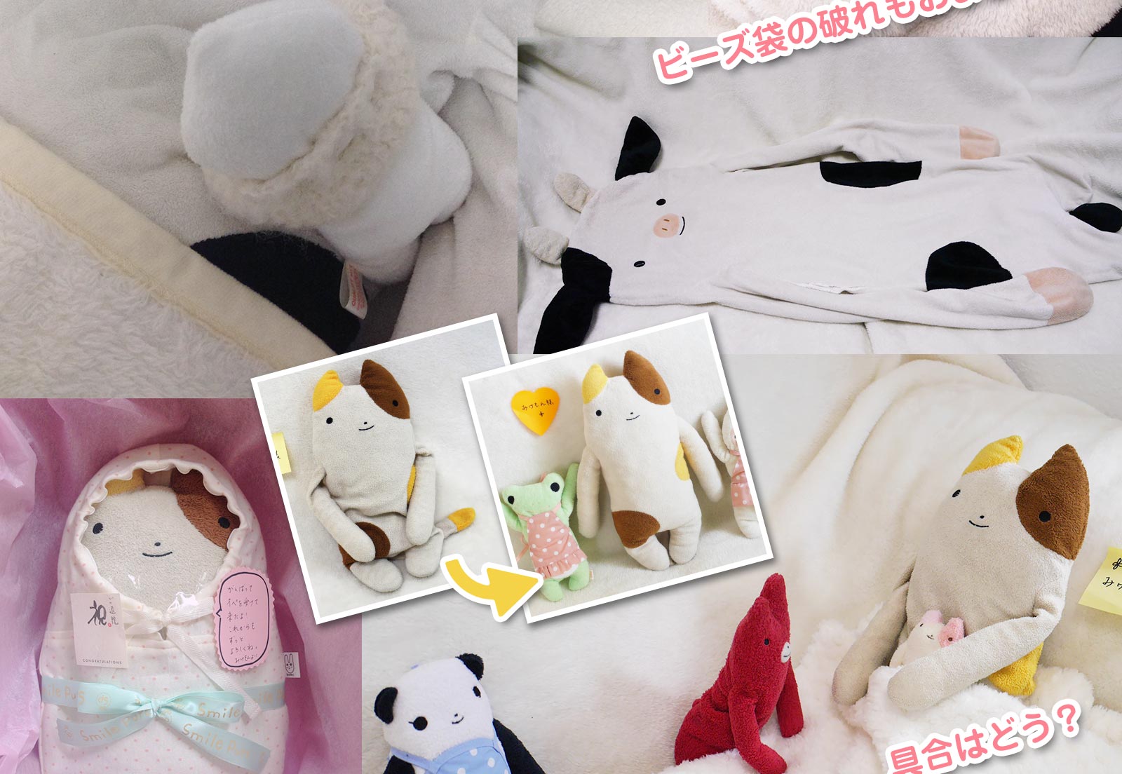 患者さまのようす　ビフォー・アフター