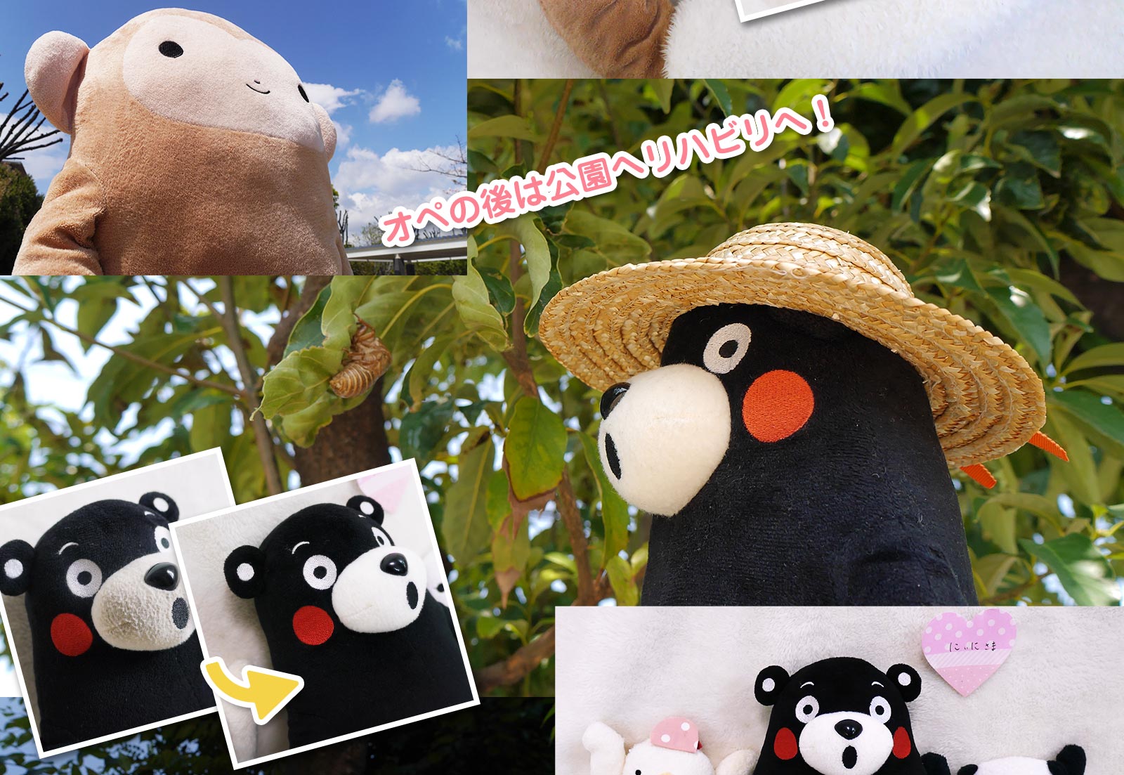 患者さまのようす　ビフォー・アフター