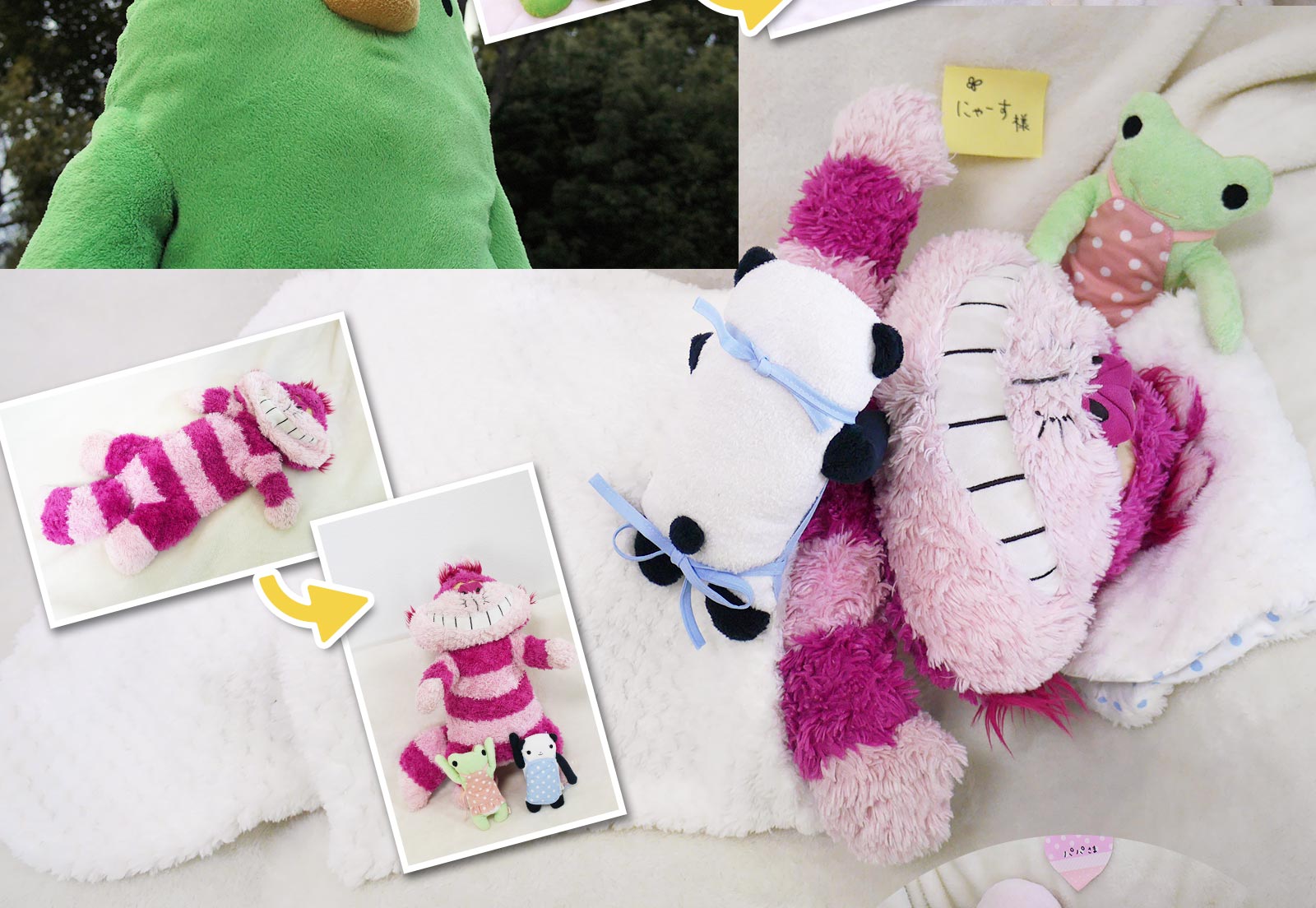 患者さまのようす　ビフォー・アフター