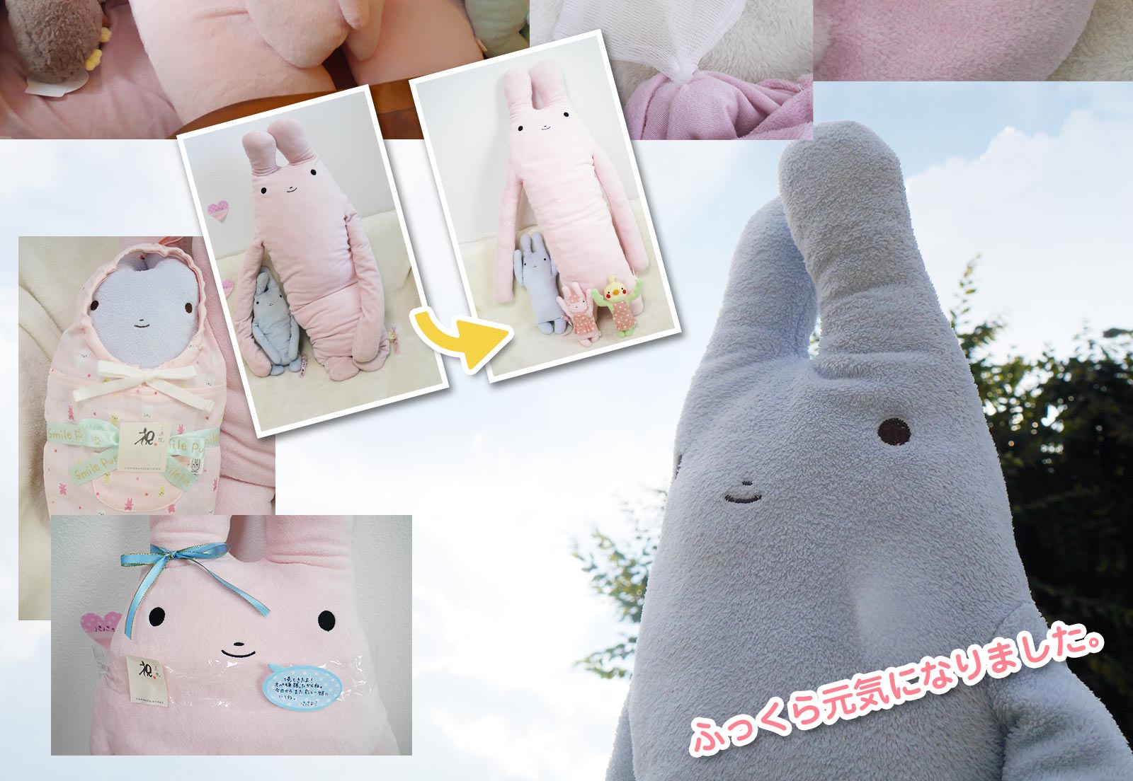 患者さまのようす　ビフォー・アフター