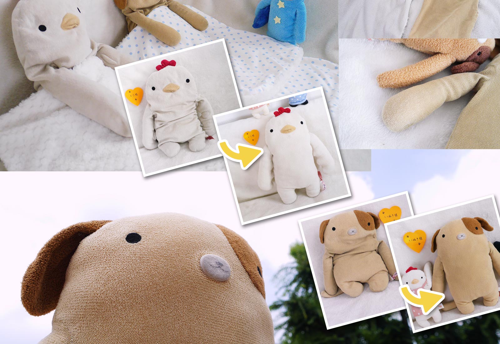 患者さまのようす　ビフォー・アフター