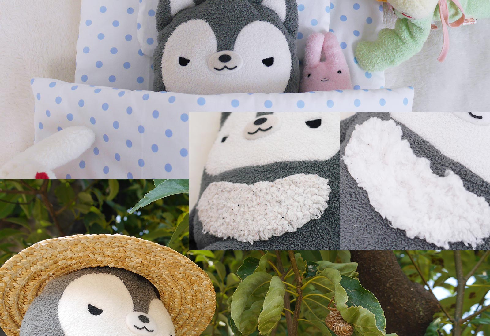 患者さまのようす　ビフォー・アフター