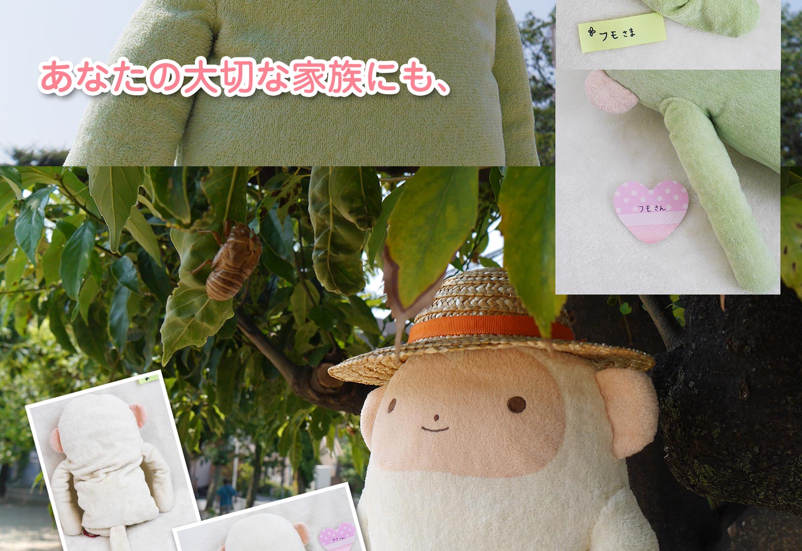 患者さまのようす　ビフォー・アフター