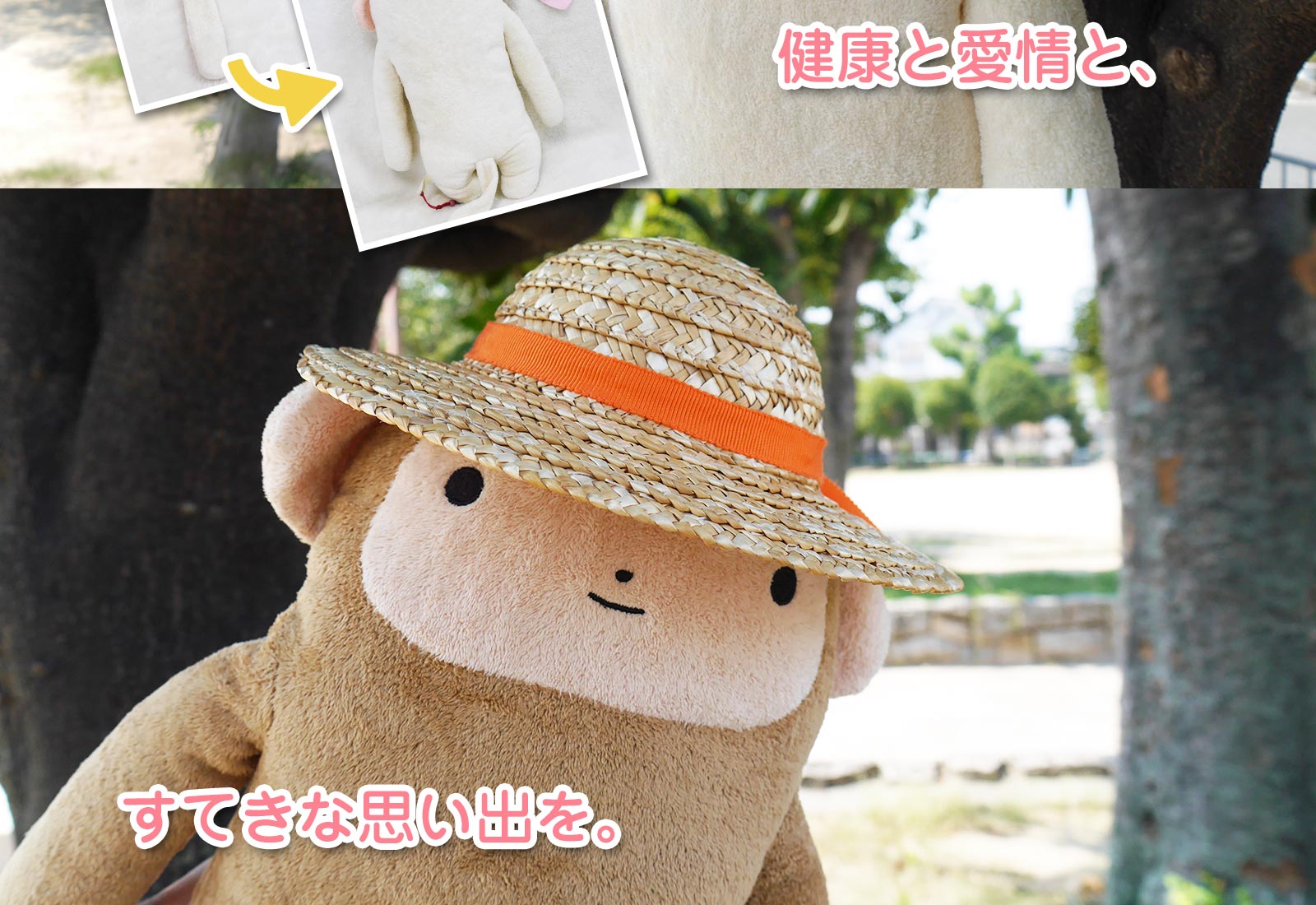 患者さまのようす　ビフォー・アフター