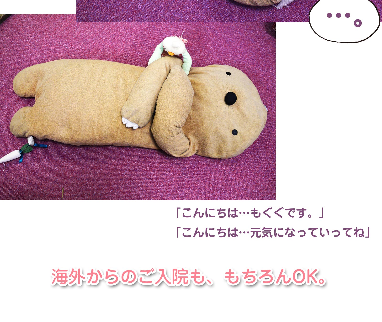 患者さまのようす　ビフォー・アフター