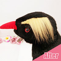 ペンさんアフター１