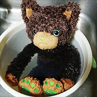 チビ（ライム）＆シトロンさん