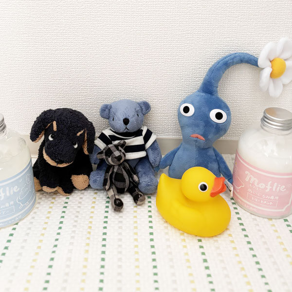 フェリックスさん、くまさん、小さいくまさん、青ピクミンさん