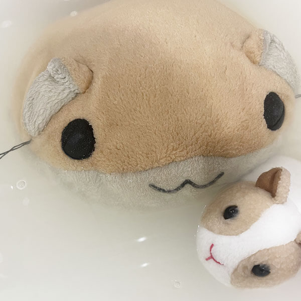 まるさん・もるさん