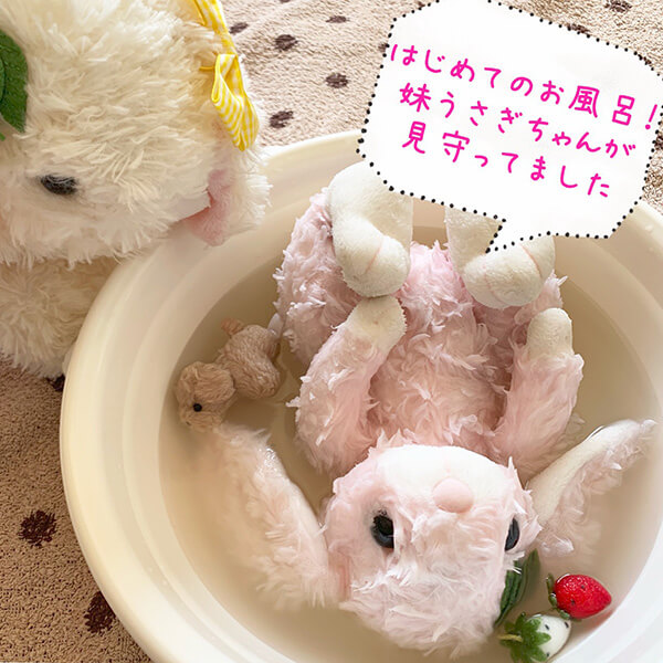 いちご＆めるるさん