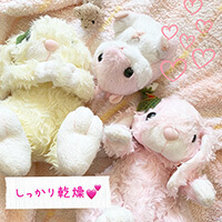 いちご＆めるるさん