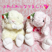いちご＆めるるさん