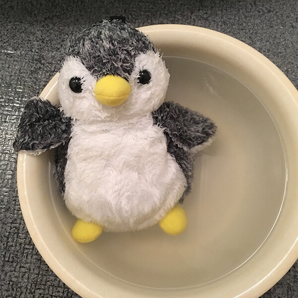 ペン吉さん・ピヨ子さん