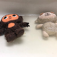 ちょむぞうさん