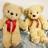 くまちゃん・くぅちゃん