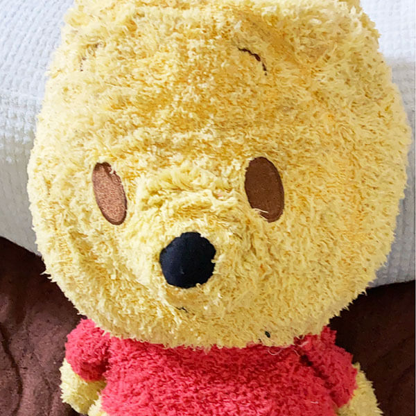 ぷーたろうさん