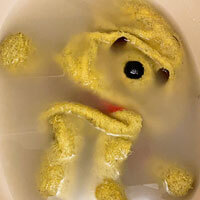 ぷーたろうさん