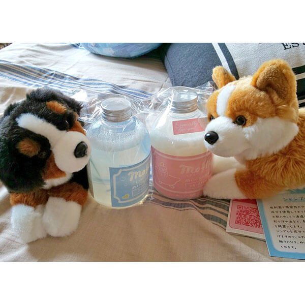 コギちゃん、ばんちゃん