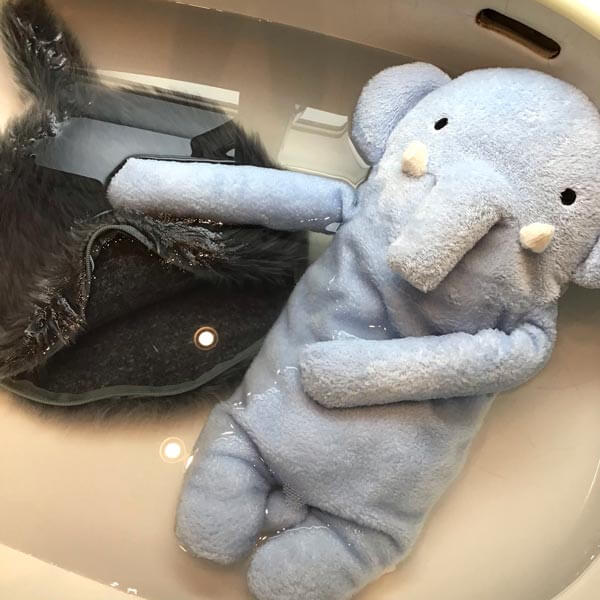 まはもさん・ぷちくーちゃん・こヴェル＆こグラ＆こリラ＆こクアちゃん