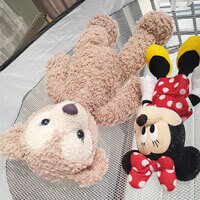 メイジーちゃん＆ミニーちゃん