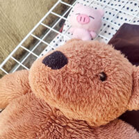 くまさん・パンチェッタくん