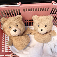 くーちゃん、まーちゃん