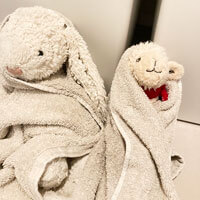 うさぎさん・れんにゅうさん