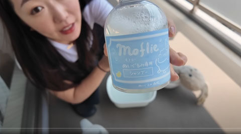 CRAZYCOCOチャンネル - YouTube -