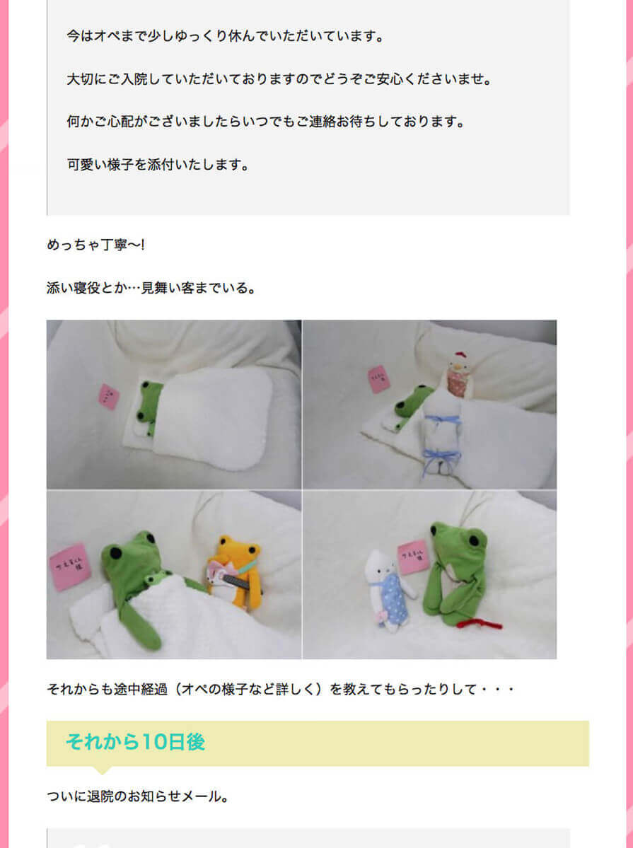 ぬいぐるみの病院の感想：かえるくんのブログより