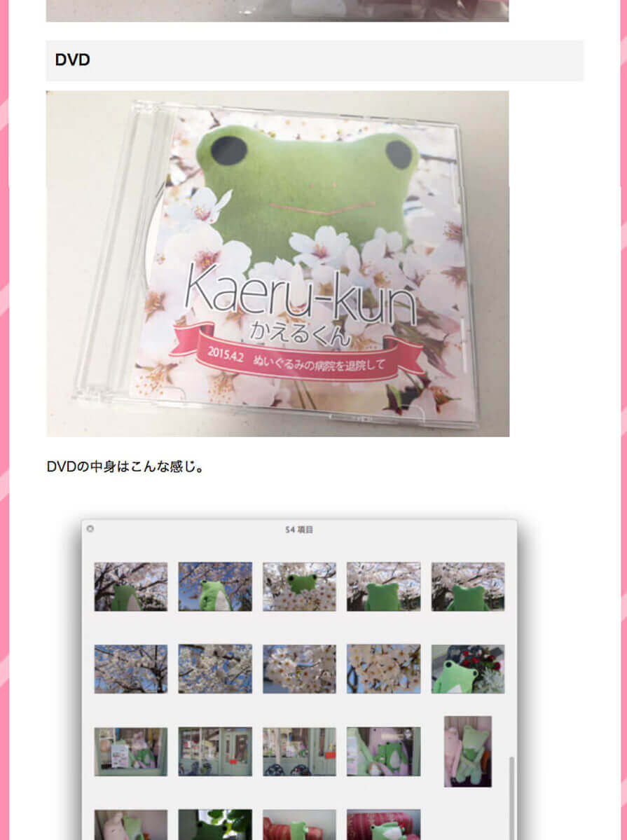 ぬいぐるみの病院の感想：かえるくんのブログより