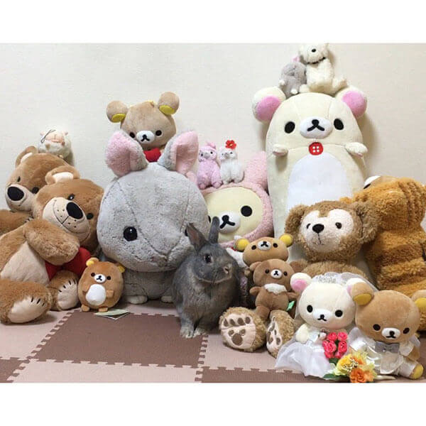 くまちゃん・ちびなつ様