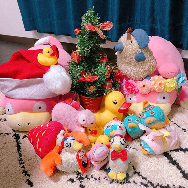 やどん様、ぴんちゃん様