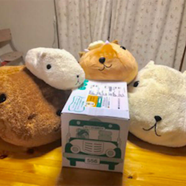 リーゼントくん