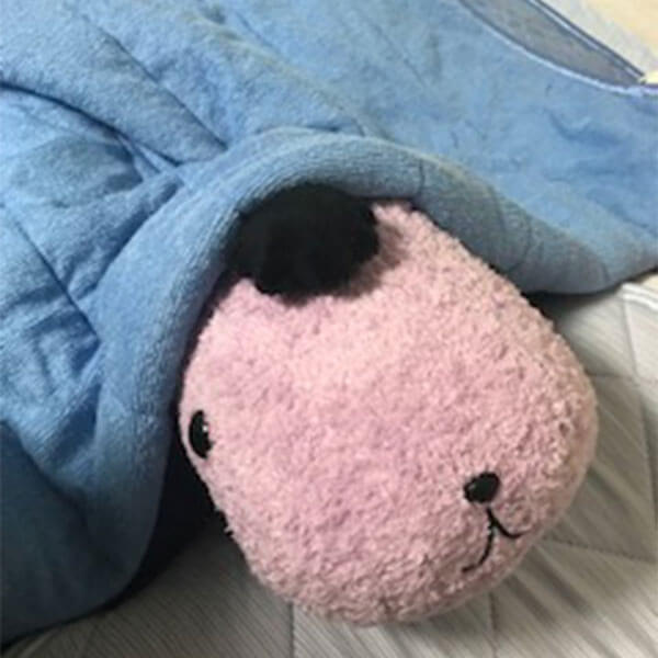 リーゼントくん