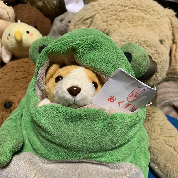 かれーらいす様