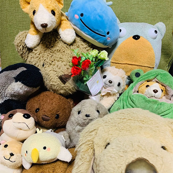 かれーらいす様