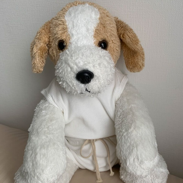 きゅーぴーさん