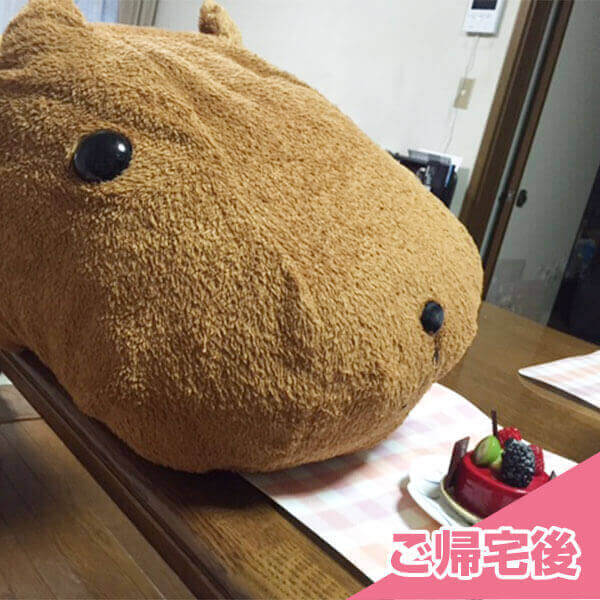 カピバラさん