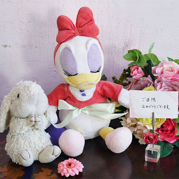 でじこさん・うさうささん