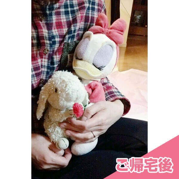 でじこさん・うさうささん