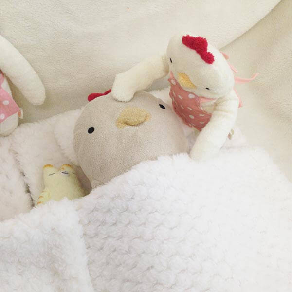 入院中のモフさん